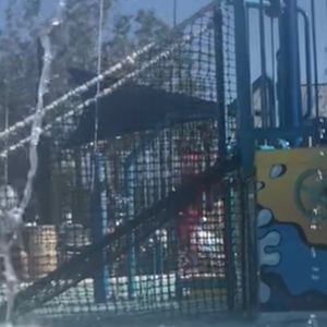 Meet your Posher, Armando